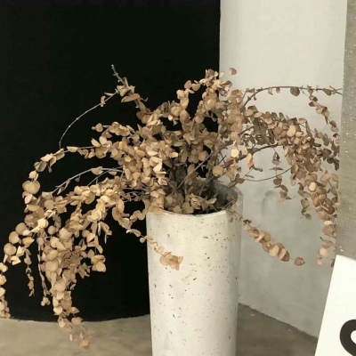 东区FurryQQ群介绍